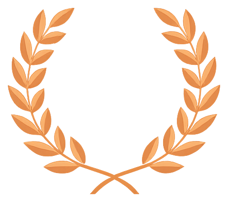 Bronze Winner